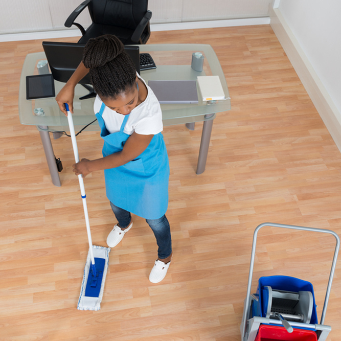 Gracefully Shine Cleaning Service - Regular